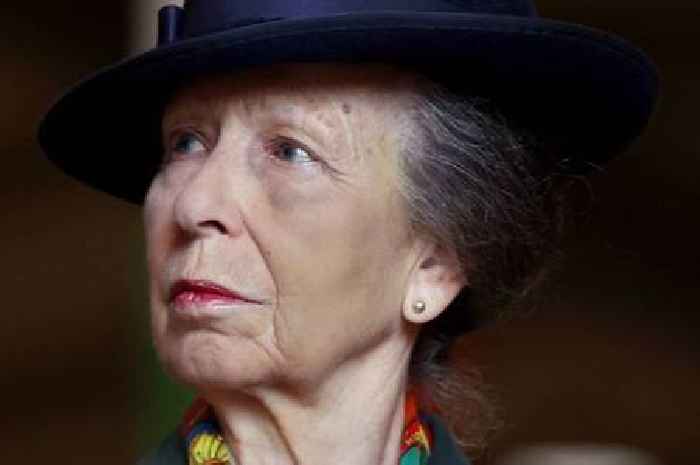 Princess Anne's horse accident 'worse than public knew' friend says