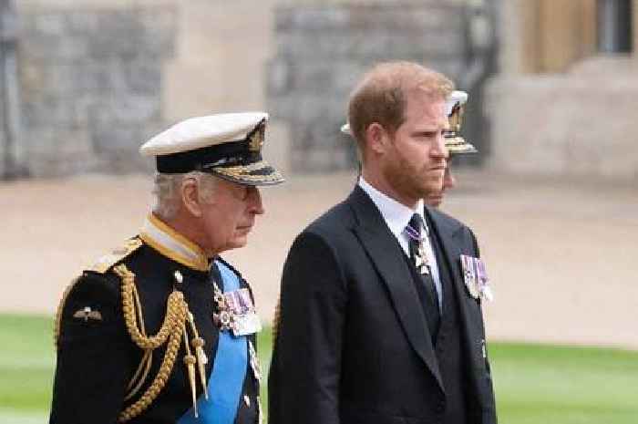 Prince Harry has been 'bullied' during royal family dispute, says princess
