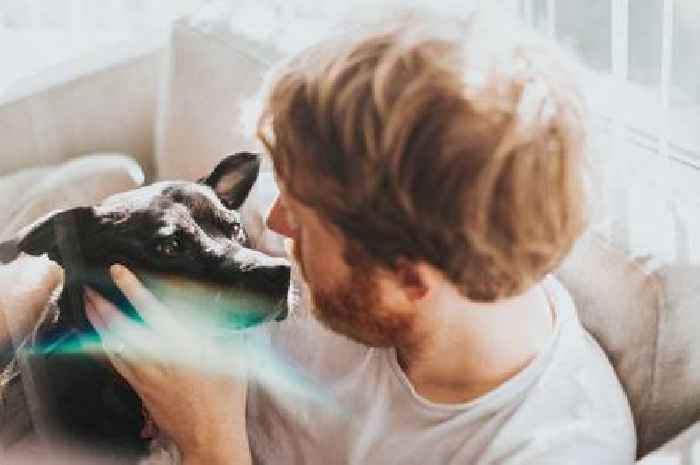 Dogs can detect incurable disease years before signs appear with near 100% accuracy