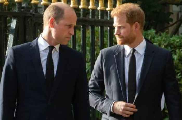 Prince Harry's team hits back over William's 'banishment' claim