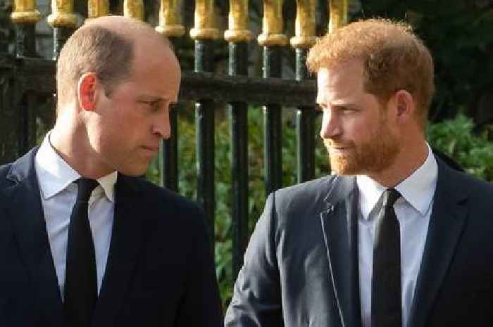 Prince William and Harry's cousin Rosie Roche, 20, found dead next to gun