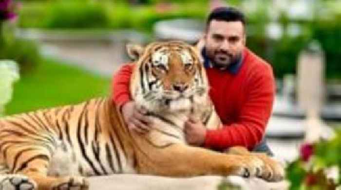 Big cat owners hide their animals from Pakistan crackdown