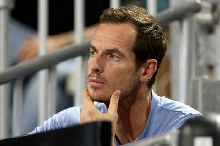 Tennis legend Andy Murray has signed up for chess lessons to beat a five-year-old