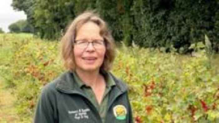 Farm earns 70% of profits from pick-your-own crops
