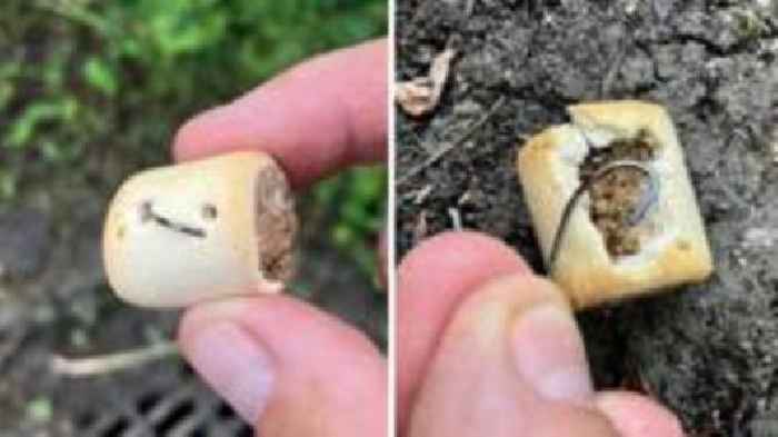 Dog treats laced with fishhooks found in woodland