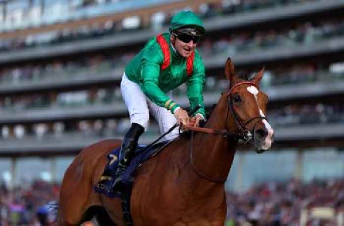 French raider Calandagan to be crowned in the King George