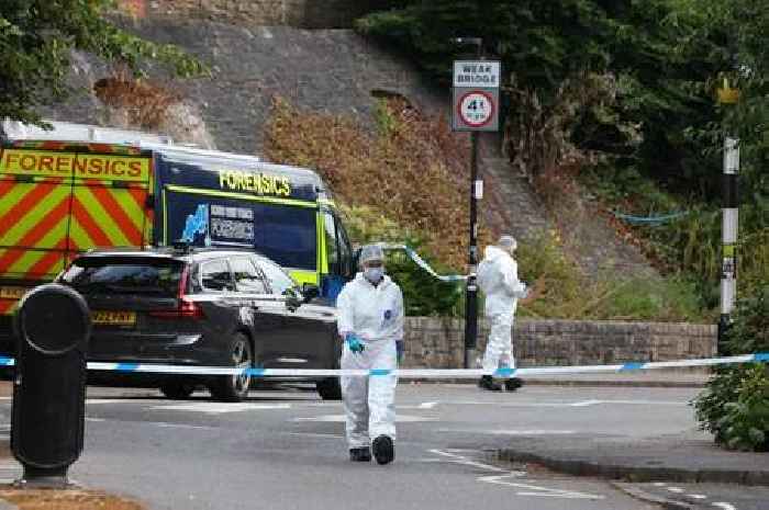 Witness's haunting 999 call after suitcases dripped blood on Clifton Suspension Bridge