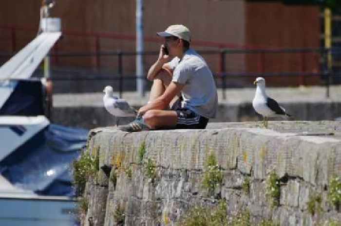 All the parts of England set for 'eight day scorcher' as next UK heatwave nears