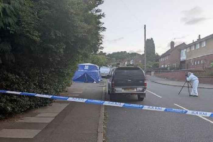 Pedestrian struck by car in Birmingham dies in hospital as ambulance service issues statement