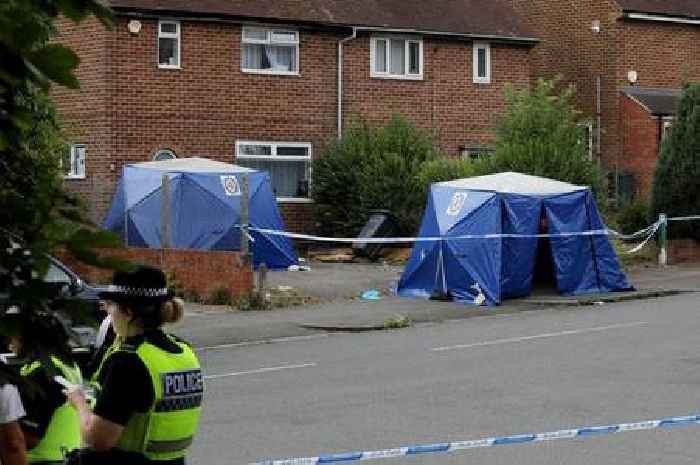 Three murder arrests after man dies and car hits house