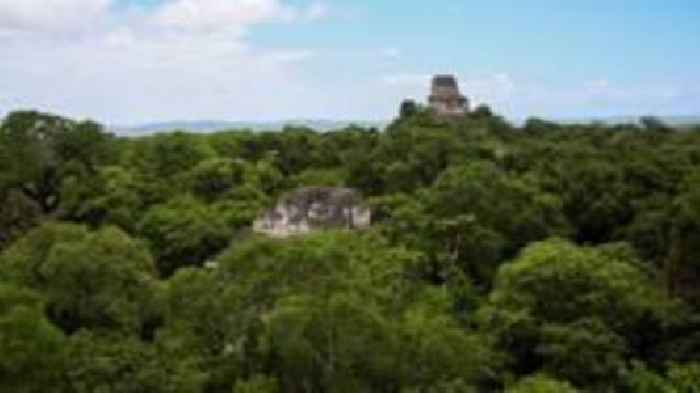 Skeleton in Guatemalan jungle likely US birdwatcher missing since 2023