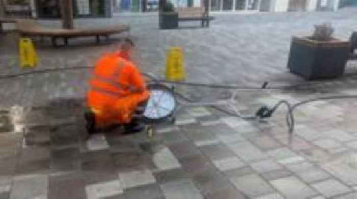 Shrubs removed after damage from urine and beer