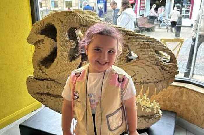 Dinosaur trail is a roaring success for Falkirk town centre team