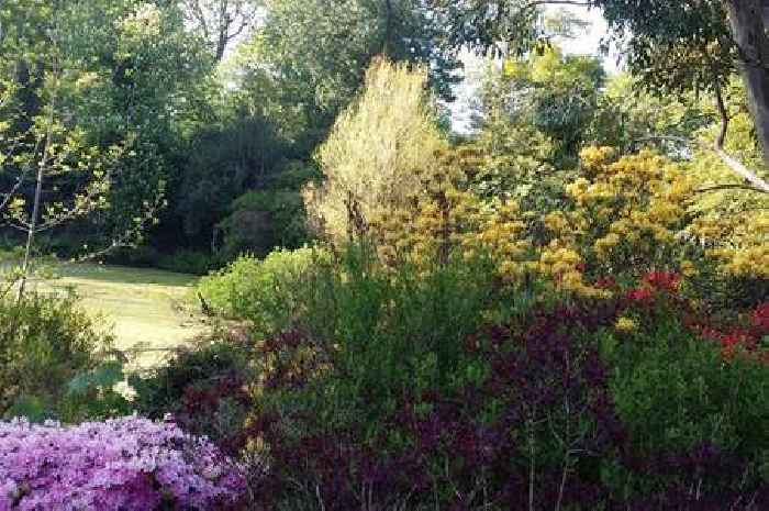 The Scottish garden with beach that was named 'best seaside garden' in the country