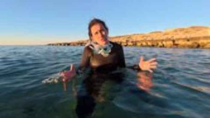 Can you un-bleach coral? BBC visits remote reef to find out