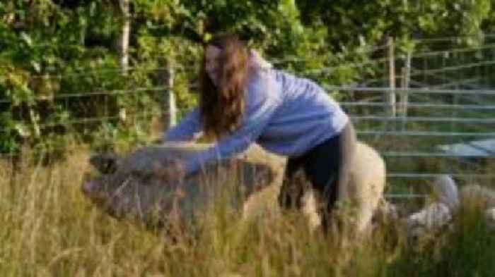 Young farmers need more help, TV show winner says