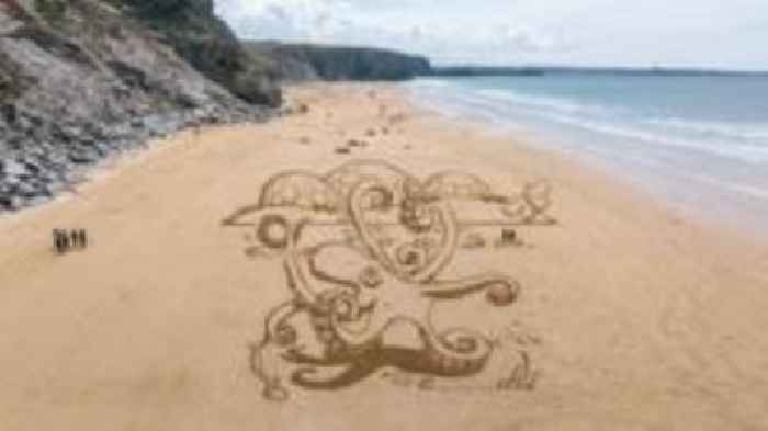 Giant sand octopus etched on Cornwall beach