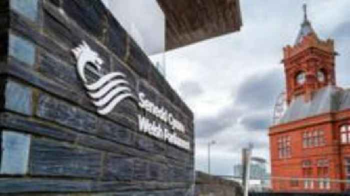 Anonymise politicians' relatives working in Senedd, report says