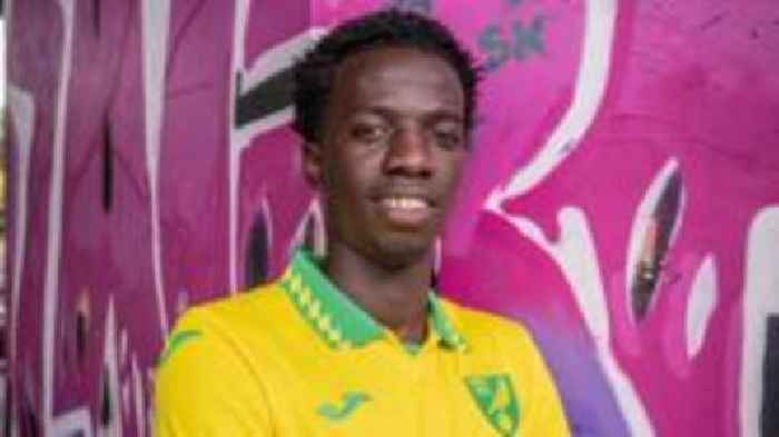Norwich sign Senegalese winger Diallo