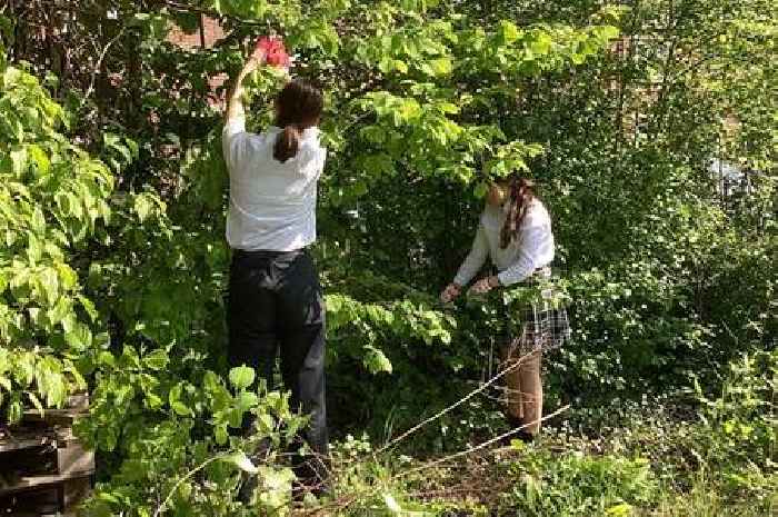 Pupils dig deep to win national gardening award and aim for next level