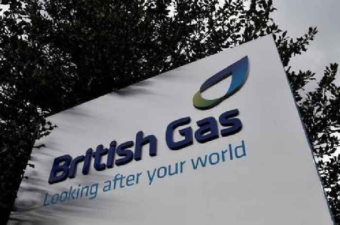 British Gas demands 'ban' on Octopus Energy with customers warned