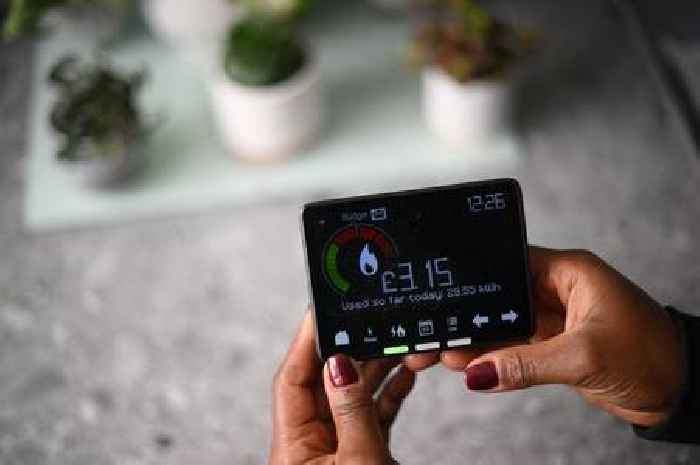 Martin Lewis names 'cheap' Octopus Energy accounts customers 'should consider'