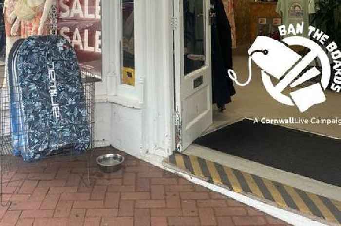 Seaside brand Animal still selling cheap and nasty boards in Cornwall