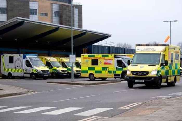 Met Police officer struck mental health patient 14 times with baton while he was restrained