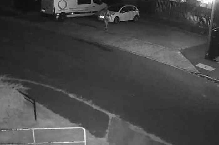 Woman filmed throwing missile at car windscreen in driveway