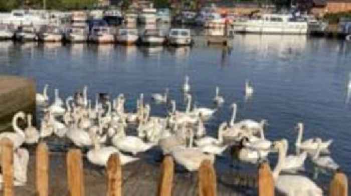 'Serious' Broads collision between powerboat and houseboat