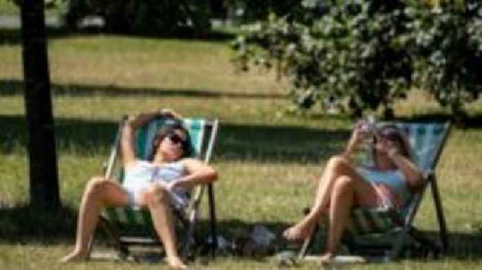 Plant trees to tackle deadly heatwaves, say experts