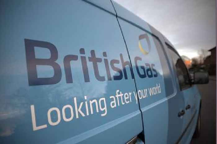 All we know as British Gas calls for 'ban'