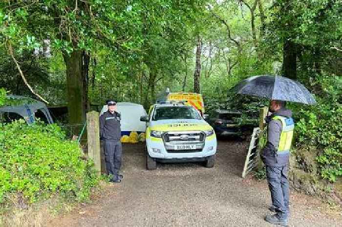 Multiple bodies found as police swarm woods near Cornwall village