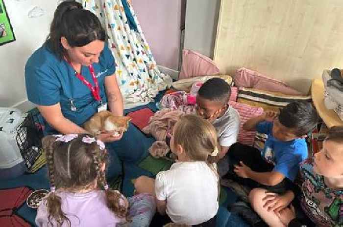 Ayrshire vet clinic inspires young animal lovers during primary school visits