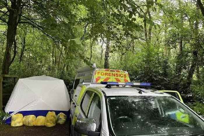 Several dead bodies found as police from across UK comb woods in Cornwall