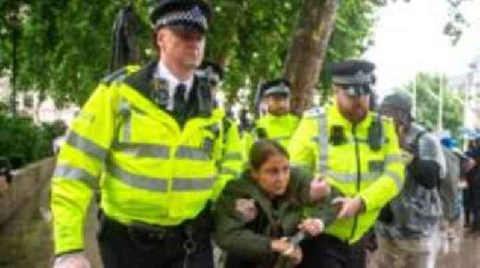 UK ban on Palestine Action a 'disturbing' misuse of legislation, says UN rights chief