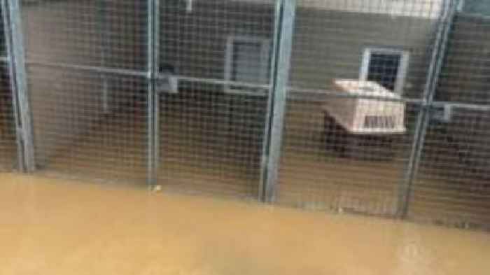 Months of work ahead for pet charity after flood
