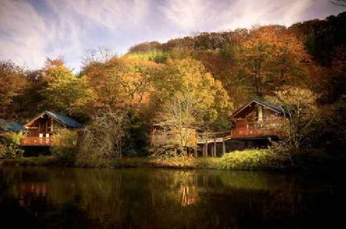 Local campsites beat giants such as Centre Parcs as best in south west named