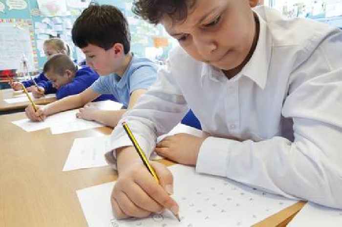 Could you pass a Year 2 maths test? Test yourself in our quiz