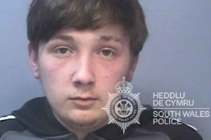 Dad shook baby so hard he caused terrible brain injuries then blamed the dog