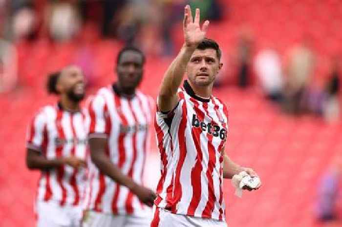 Stoke City have much to be excited by but things are about to improve further