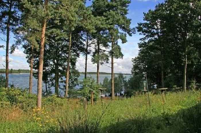 The peaceful Essex woodland walk that ends with a cafe on top of the water