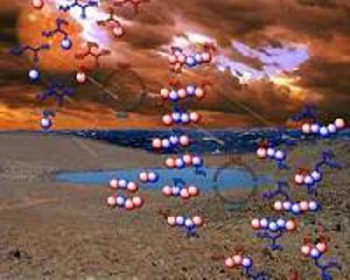 One billion years of protein evolution reveals surprising design flexibility