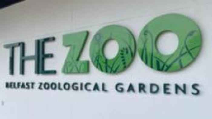 Belfast zoo closed due to issue with water supply