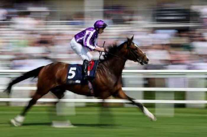 'I fancy 50-1, 20-1 and 16-1 shots on day one' – Jason Heavey's Glorious Goodwood tips