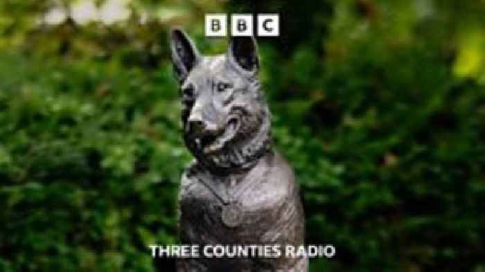 ‘Pride’ over statue of stabbed police dog Finn