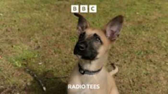 Meet the North East's cutest police recruits