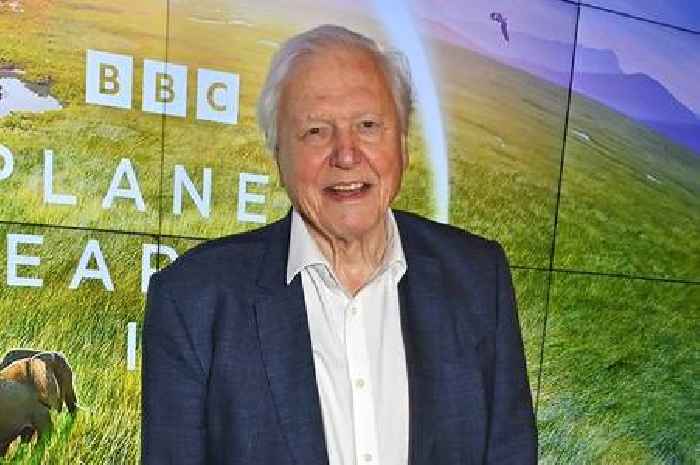 Sir David Attenborough set for new 'high stakes' BBC documentary as air date confirmed