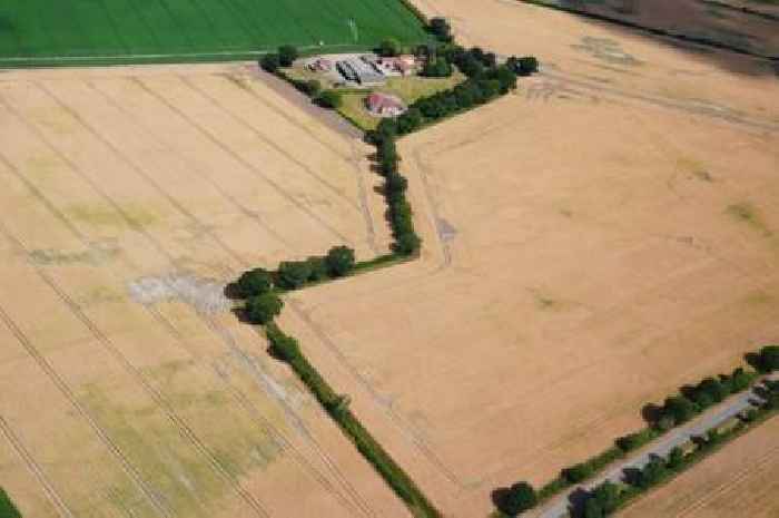 29 counties in England set to miss next UK heatwave as 31C hits