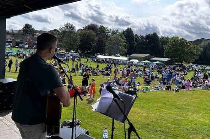 Ilminster Party on the Park needs help to run the event